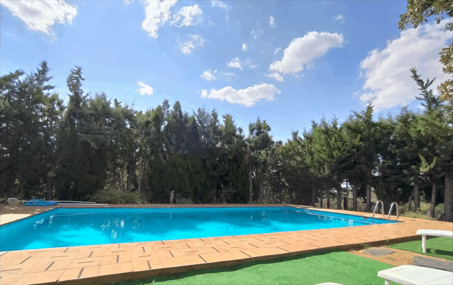 Pozuelo II - Imagen 19