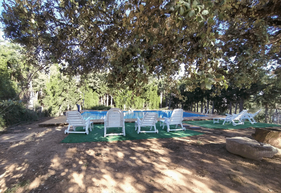 Pozuelo II - Imagen 18